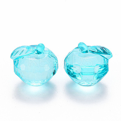 Transparent Acrylic Pendants TACR-T024-05B-946-1