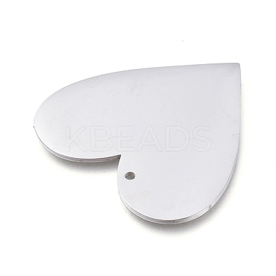 Tarnish Resistant 304 Stainless Steel Pendants STAS-L238-098A-P-1
