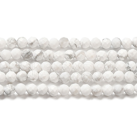 Natural Howlite Beads Strands X-G-E608-A01-B-1