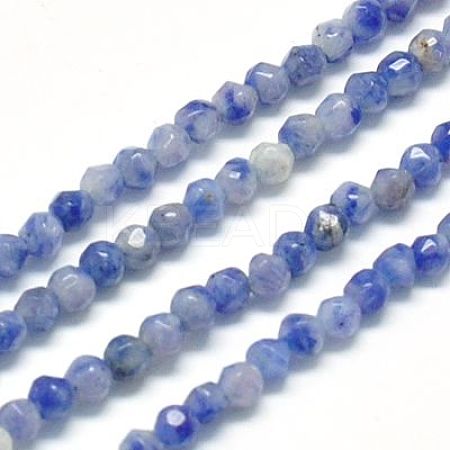 Natural Sodalite Beads Strands G-J002-09-1