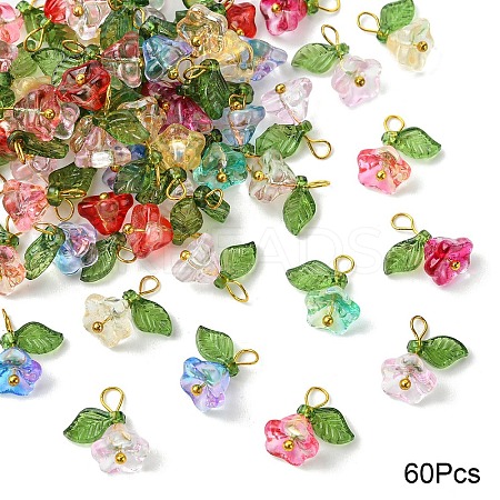 Glass & Acrylic Charms FIND-YW0006-91B-1