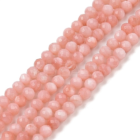 Natural Freshwater Shell Dyed Beads Strands SHEL-R100-12A-03-1