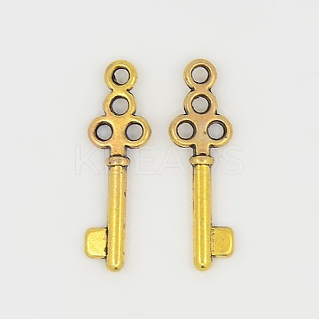 Tibetan Style Alloy Pendants GLF0220Y-1