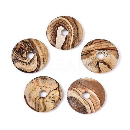 Natural Picture Jasper Big Pendants G-T144-43A-1