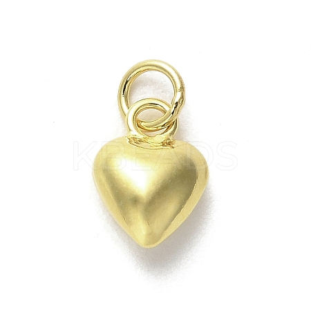 925 Sterling Silver Pendants STER-P057-07B-G-1