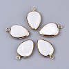 Edge Plated Freshwater Shell Pendants SHEL-S276-37-1