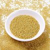 MIYUKI Delica Beads SEED-MY11-DB2041-2