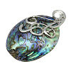 Paua Shell Big Pendants SSHEL-H063-1-1