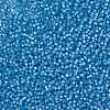 MIYUKI Round Rocailles Beads SEED-JP0009-RR0573-3