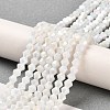 Opaque Solid Color Electroplate Glass Beads Strands X1-GLAA-F029-P4mm-A15-4