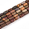 Natural Picasso Jasper/Polychrome Jasper Beads Strands G-N346-01A-05-2