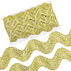 10 Yard Metallic Polyester Wavy Fringe Trim Ribbon SRIB-GF0001-38R-1