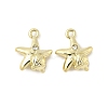 Alloy Rhinestone Charms PALLOY-F316-02A-G-1