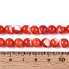 Natural Trochus Shell Mother of Pearl Shell Beads Strands SSHEL-T012-06-4