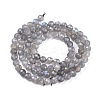 Natural Labradorite Beads Strands G-R475-025C-2