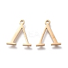 304 Stainless Steel Charms STAS-K215-24G-2
