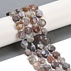 Natural Botswana Agate Beads Strands G-C116-A65-01-1