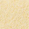 MIYUKI Round Rocailles Beads X-SEED-G009-RR2217-3