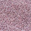 MIYUKI Delica Beads SEED-X0054-DB0256-3