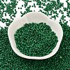 Baking Paint Glass Seed Beads X-SEED-S042-05B-66-2