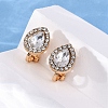 Alloy Silicone Clip-on Earrings EJEW-Z120-02G-02-3