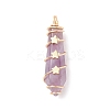 Natural Amethyst Pointed Pendants PALLOY-JF01703-01-1