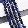Natural Sodalite Beads Strands G-S345-6mm-26-2