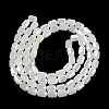Electroplate Glass Beads Strands EGLA-D031-01D-2
