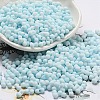Macaron Color Opaque Frosted Glass Seed Beads X1-SEED-K009-12B-11-1