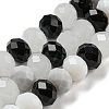Glass Beads Strands EGLA-A034-M10mm-48-2