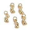 Brass Charms KK-C223-14G-2