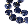 Natural Sodalite Beads Strands G-P592-B08-01-4