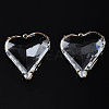 Transparent Glass Pendants LS-GLAA-Q088-022-3
