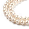 Natural Cultured Freshwater Pearl Beads Strands PEAR-L033-20-2