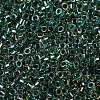 Glass Seed Beads SEED-S042-13A-18-3
