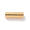 304 Stainless Steel Magnetic Clasps with Glue-in Ends STAS-H187-01G-1