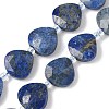 Natural Lapis Lazuli Beads Strands G-D316-A05-2