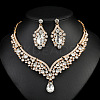 Teardrop Alloy Rhinestone Pendant Necklaces & Stud Dangle Earrings Sets FS-WGBD9B5-06-1
