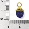 Dyed Natural Lapis Lazuli Pendants LS-STAS-L277-07G-06-3