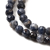 Natural Sapphire Beads Strands G-G259-D06-4mm-4
