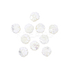 Natural Shell Beads Strands SSHEL-CJ0001-09-3