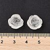 Natural Quartz Crystal Beads G-O156-C-34-3