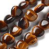 Natural Tiger Eye Beads Strands G-P528-C02-01-1