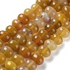 Natural Agate Beads Strands G-G021-03B-08-2