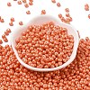 6/0 Glass Seed Beads SEED-L011-08A-20-2