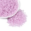 FGB Grade A Transparent Glass Seed Beads SEED-Q040-03A-06-2