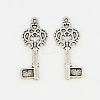 Tibetan Style Alloy Pendants LS-TIBEP-22482-AS-RS-1