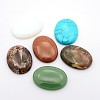 Gemstone Cabochons G-P024-M-1