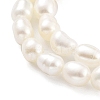 Natural Keshi Pearl Cultured Freshwater Pearl Beads Strands PEAR-P062-25D-4
