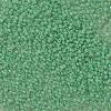 TOHO 11/0 Round Beads X-SEED-TR11-0156-2